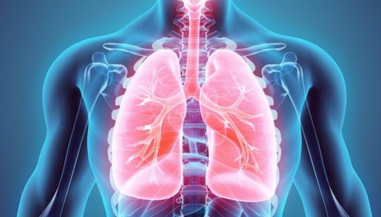 ¿Cómo se regenera un pulmón tras dejar de fumar? - Ochomocho